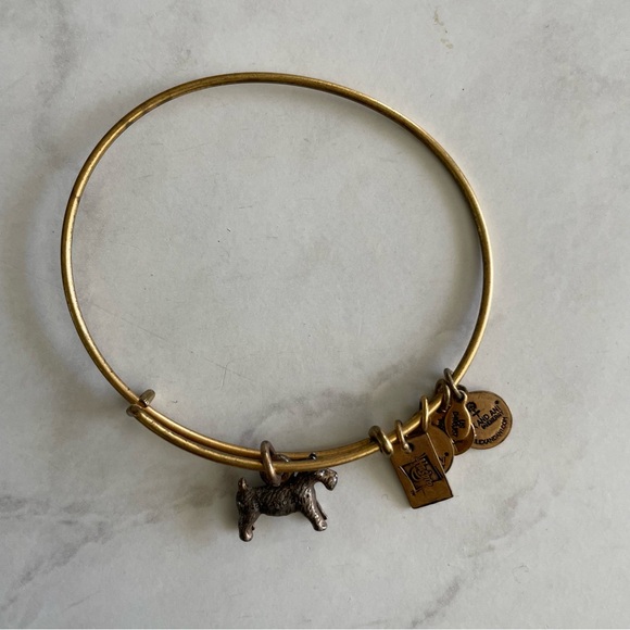 Alex and Ani Monopoly Dog Charm Bracelet - Picture 6 of 7